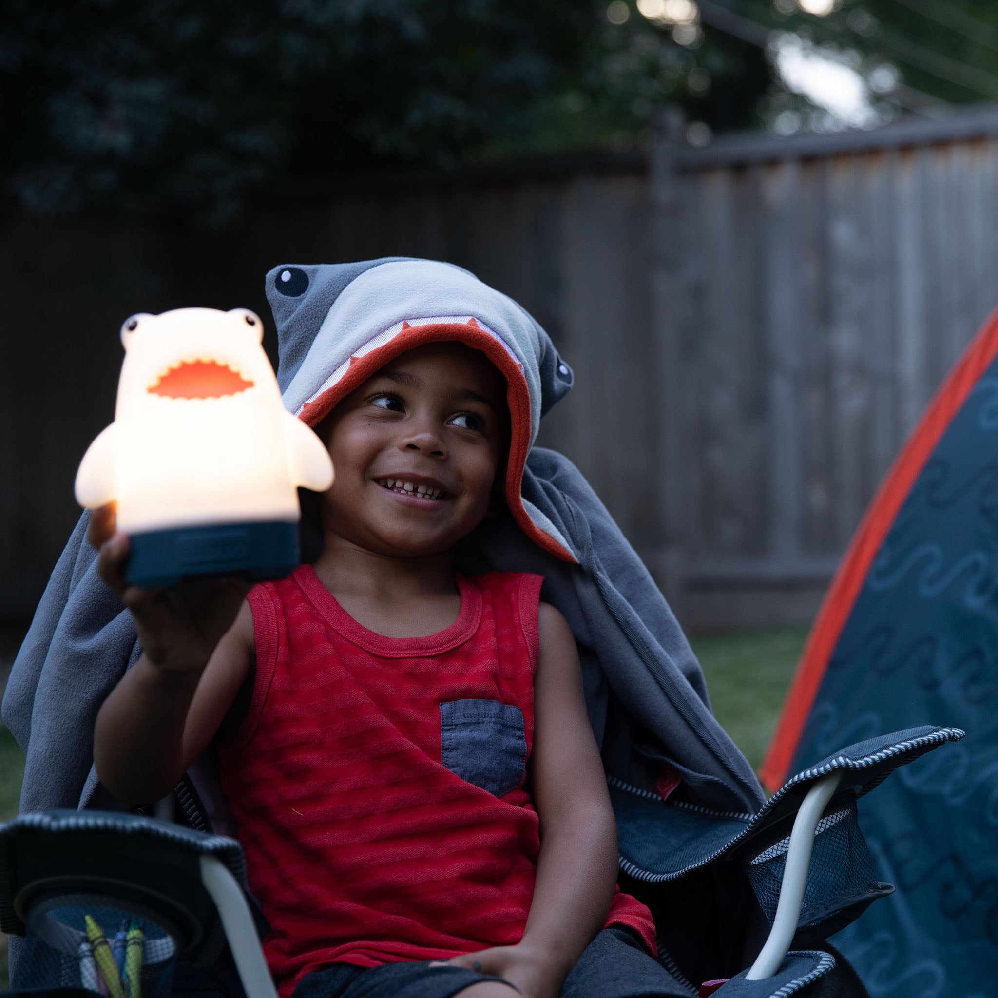 Firefly! Finn the Shark Lantern - Image 7